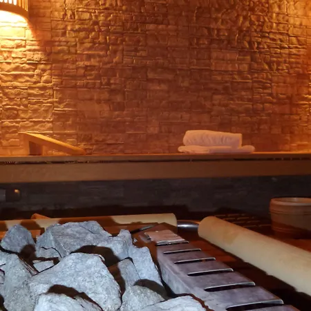 酒店 Europa 萨斯费