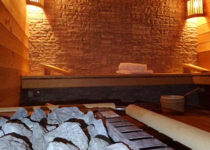 酒店 Europa 萨斯费